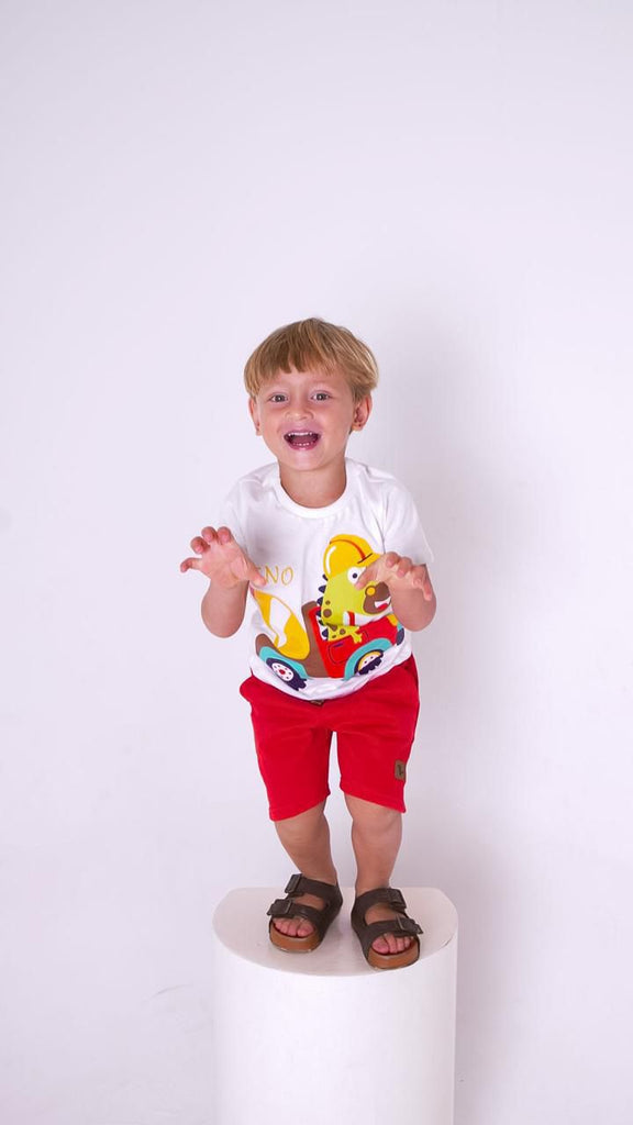 Conjunto Dino Camiseta 100 %algodão com short moletom gramatura grossa